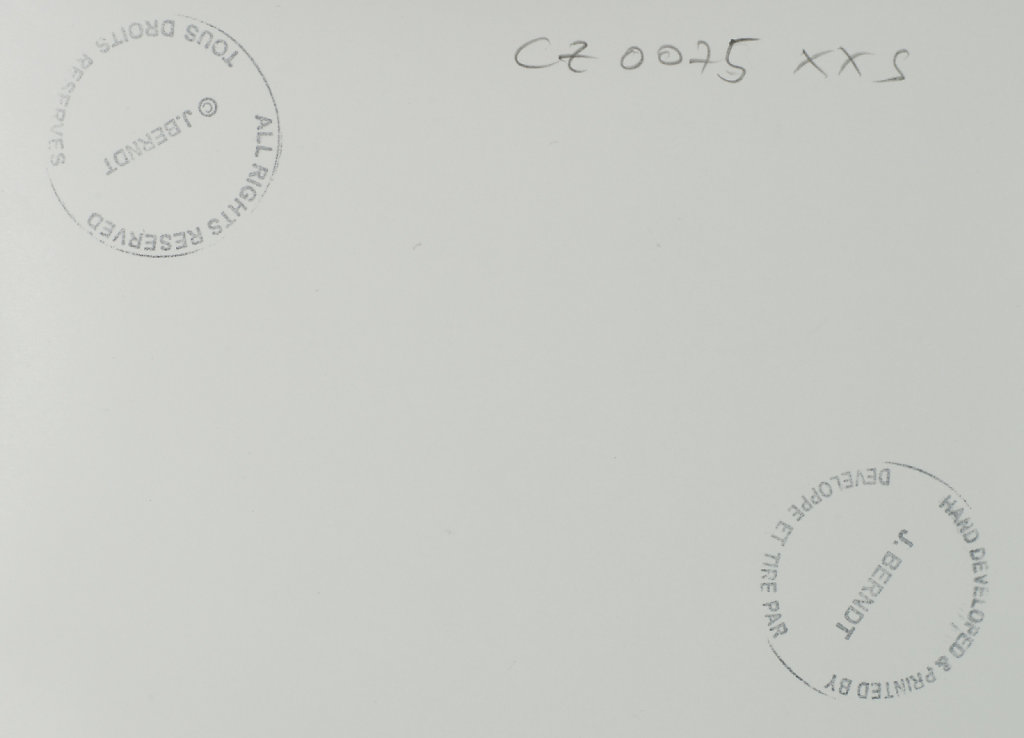 unbenannt-089390.jpg