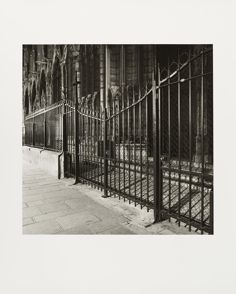 Notre Dame, Rue du Cloitre Notre Dame, Paris, 2010