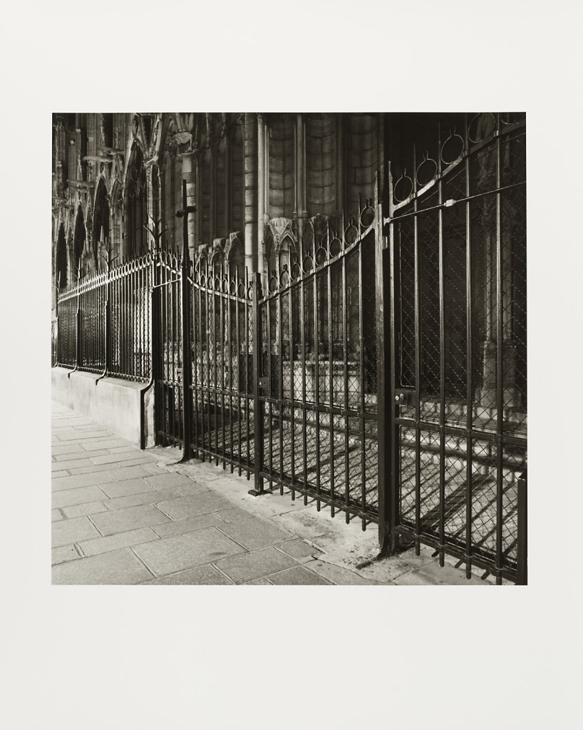 Notre Dame, Rue du Cloitre Notre Dame, Paris, 2010