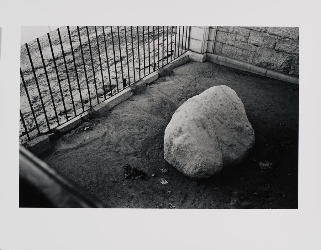 Plymouth Rock