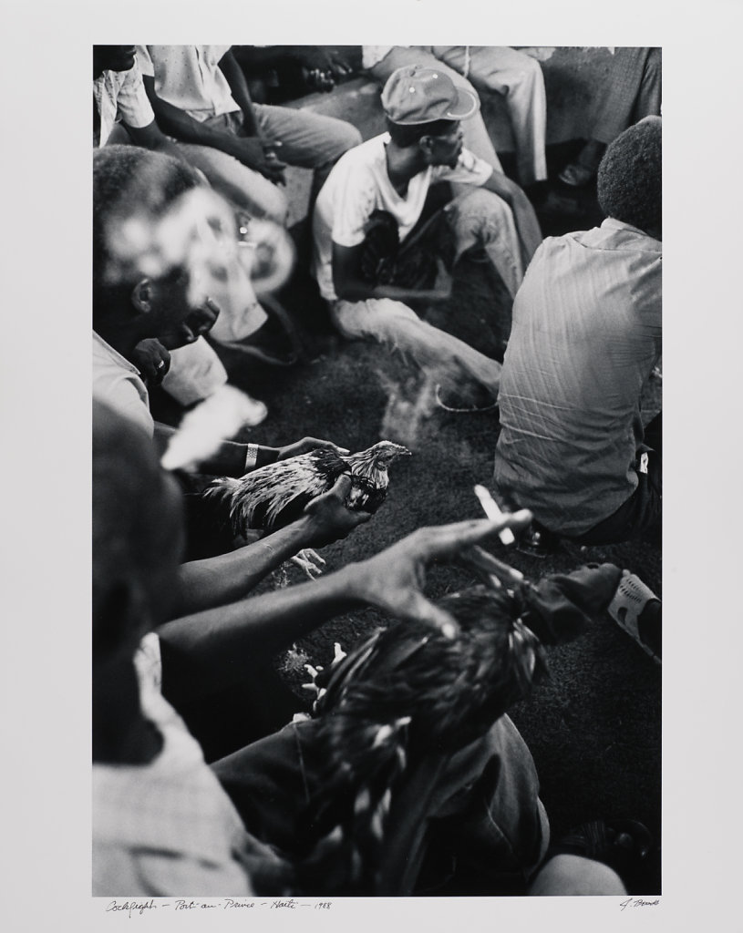 Port-au -Prince, Cock Fight, Haiti, 1988