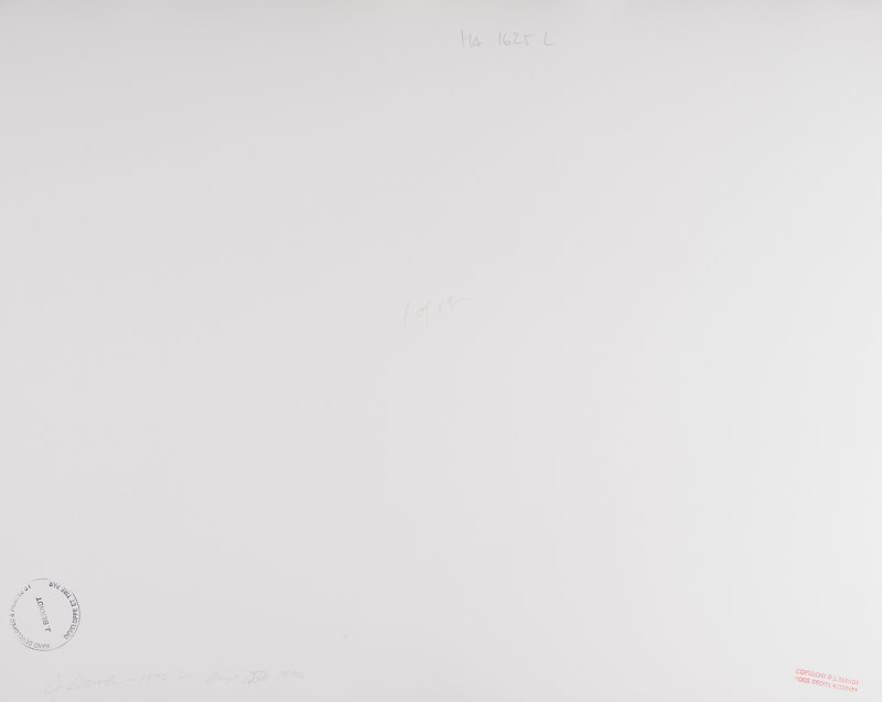 Bois Caïman, Haiti, 1990 Jerry Berndt